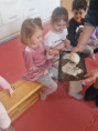 /album/10-3-2025-polne-zivocichy/img-20250310-wa0024-jpg/