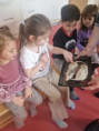 /album/10-3-2025-polne-zivocichy/img-20250310-wa0025-jpg/