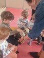/album/10-3-2025-polne-zivocichy/img-20250310-wa0027-jpg/