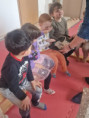 /album/10-3-2025-polne-zivocichy/img-20250310-wa0028-jpg/