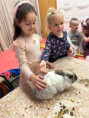 /album/4-3-2026-polne-zvieratka/img-20260304-wa0062-jpg/