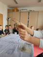 /album/25-3-2026-vodne-zivocichy/20260325-094150-jpg/
